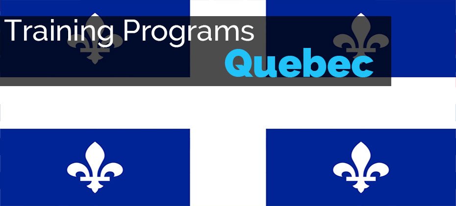 Security Guard Training Programs in Quebec